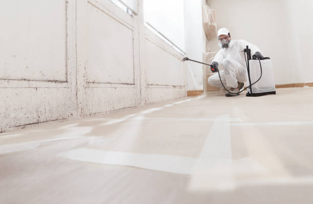 24/7 Emergency Bathroom Mold Removal experts in Sharon, TN